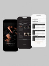 Burnt Cut | 8 Week Men's Gym Program