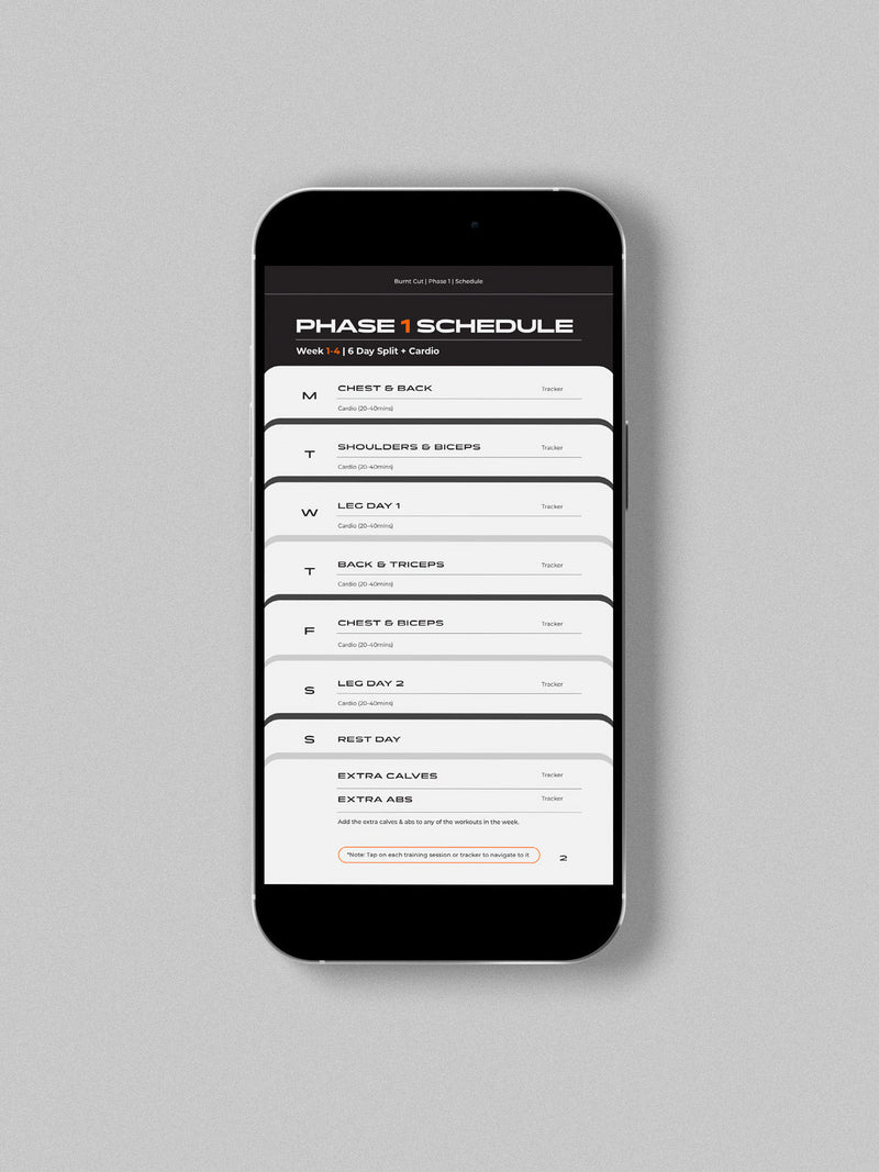 Burnt Cut | 8 Week Men's Gym Program